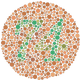 See 74?: The Ishihara Test